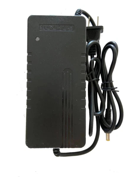 36v 10ah silver fish battery lithium battery pack for ebike 4 ports
